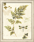 Ivies and Ferns III