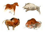 Cave Paintings in Northern Spain