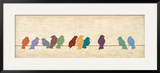 Birds Meeting