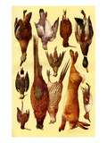 Mrs Beeton's Cookery Book - Game