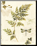 Ivies and Ferns III