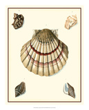 Studies in Symmetry III