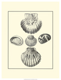 Studies in Symmetry V