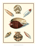 Studies in Symmetry VI