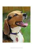 Beagle-Beagle