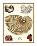 Studies in Symmetry II