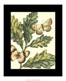 Butterflies & Leaves III