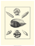 Studies in Symmetry VI