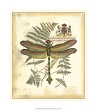 Regal Dragonfly III