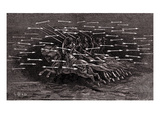 ' Orlando Furioso ' by Ludovico Ariosto