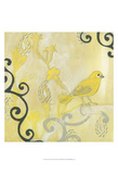 Canary I