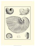 Studies in Symmetry II