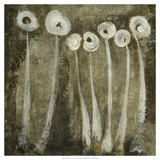 White Flowers Abstract I