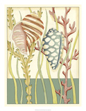 Shell Season II
