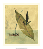 Tropical Fern II