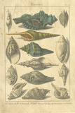 Seaside Treasures I