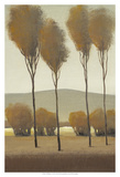 Tall Birches I