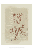 Botanical Respite I