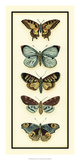 Butterfly Collector VI