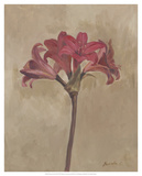 Blooms & Stems III