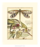 Whimsical Dragonflies I