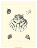 Studies in Symmetry III