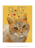 Frisky Pet V