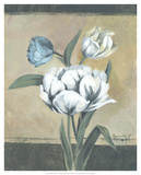 White Tulips I