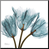 Tulips in Blue