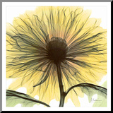 Dream in Yellow