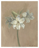 Blooms & Stems IV