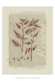 Botanical Respite IV