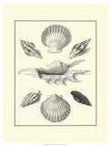 Studies in Symmetry I