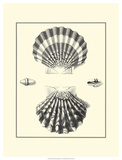 Studies in Symmetry IV