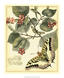 Whimsical Butterflies I