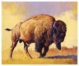 Tatanka