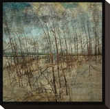 Masonboro Island No 6