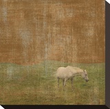 White Horse
