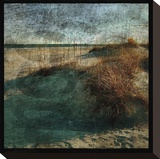 Wrightsville Dunes