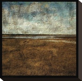 Masonboro Island No 7