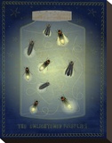 The Enlightened Fireflies