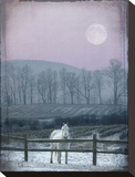 Prissy On Snowy Night