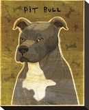 Gray Pit Bull