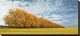 Autumn Colors  no 1