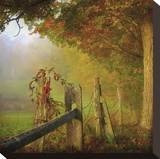 Farm Fence