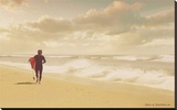 The Surfer