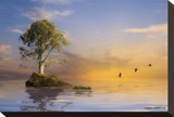 The Immortal Tree
