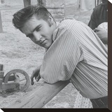 Elvis  1956