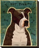 Brindle Pit Bull