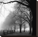 Black and White Morning